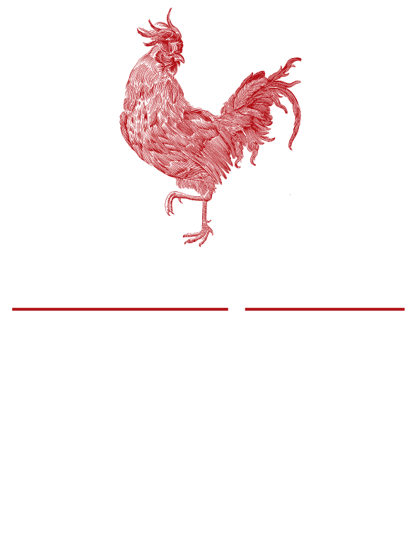 Logo-Cavagallo3